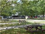 Some of the shady RV sites at SCOTT'S FAMILY RV-PARK CAMPGROUND - thumbnail