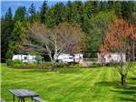 A large grassy area with a picnic bench at REDWOOD MEADOWS RV RESORT - thumbnail