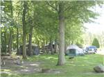 A group of tent sites under trees at SPAULDING LAKE CAMPGROUND - thumbnail