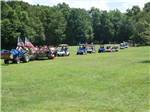A line up of golf carts at SALEM FARMS CAMPGROUND - thumbnail
