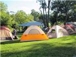 Multiple tents on-site at HICKORY RUN CAMPGROUND - thumbnail