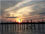 Birds sitting on the pier at sunset at CHOKOLOSKEE ISLAND RESORT - thumbnail