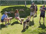 Dog exercise area at MESA REGAL RV RESORT - thumbnail