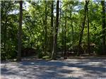 A couple of wooden cabins deep in the woods at PINCH POND FAMILY CAMPGROUND - thumbnail