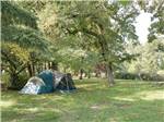 A tent on a grassy campsite at CAMP KALAMA RV PARK - thumbnail
