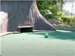 A golf ball on the miniature golf course at HARTT ISLAND RV RESORT & WATERPARK - thumbnail