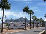 A row of RV sites with palm trees at WEAVER'S NEEDLE RV RESORT - thumbnail