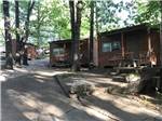 A group of rustic rental cabins at BLUE MOUNTAIN CAMPGROUND - thumbnail