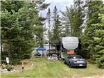 A grassy RV site between trees at BEECH HILL CAMPGROUND & CABINS - thumbnail