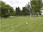A soccer field and ball at GLOWING EMBERS RV PARK & TRAVEL CENTRE - thumbnail