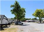 Gravel RV sites with RVs at COUNCIL ROAD RV PARK - thumbnail