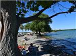 A couple sitting under a tree near the lake at QUINTE'S ISLE CAMPARK - thumbnail