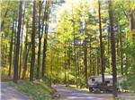 RV parked in a site under tall trees at KING PHILLIPS CAMPGROUND - thumbnail