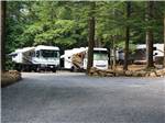 Big rigs parked in gravel sites with big trees at KING PHILLIPS CAMPGROUND - thumbnail