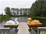 A duck and a swan peddle boats at TOBERMORY VILLAGE CAMPGROUND & CABINS - thumbnail