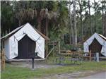 Two of the canvas cabins at LION COUNTRY SAFARI KOA - thumbnail
