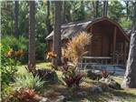 One of the rustic camping cabins with a picnic bench at LION COUNTRY SAFARI KOA - thumbnail
