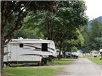 The road going thru the campsite at WILD ROSE CAMPGROUND & RV PARK - thumbnail