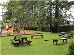 Picnic benches next to the playground at WILD ROSE CAMPGROUND & RV PARK - thumbnail