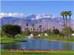 Lush greens of golf course with mountain in background at OUTDOOR RESORT PALM SPRINGS - thumbnail