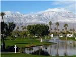 Man on golf course beside lake at OUTDOOR RESORT PALM SPRINGS - thumbnail