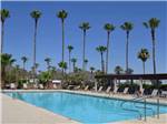 Swimming pool with outdoor seating at RINCON COUNTRY WEST RV RESORT - thumbnail