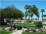 A green grassy area with flowers at RINCON COUNTRY WEST RV RESORT - thumbnail