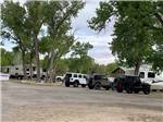 Three Jeeps parked in front in RV sites at SHADY ACRES RV PARK - thumbnail