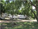 RVs parked in gravel sites with trees at OASIS CAMPGROUND - thumbnail