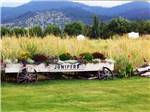 An old wagon used for a flower bed at JUNIPERS RESERVOIR RV RESORT - thumbnail