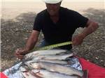 A man measuring a bunch of fish at JUNIPERS RESERVOIR RV RESORT - thumbnail