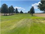 A large grassy area with trees at MOUNTAIN SHADOWS RV PARK - thumbnail