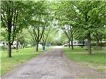 The road going thru the campground at CAMPARK RESORTS FAMILY CAMPING & RV RESORT - thumbnail