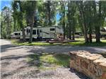 RVs parked in shady sites at RIO CHAMA RV PARK - thumbnail