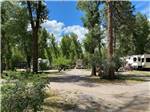 Travel trailers parked in gravel sites at RIO CHAMA RV PARK - thumbnail