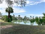 RV sites on the far side of the lake at RIO BEND RV & GOLF RESORT - thumbnail