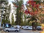 Trailers and motorhomes in RV sites at COACHLAND RV RESORT / VILLAGE CAMP TRUCKEE - thumbnail