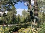 A statue of an elk in the woods at COACHLAND RV RESORT / VILLAGE CAMP TRUCKEE - thumbnail