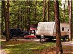 Tall trees cast shade on campgrounds at VOLUNTEER PARK FAMILY CAMPGROUND - thumbnail