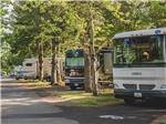 A row of motorhomes in RV sites at CANNON BEACH RV RESORT - thumbnail