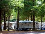 A travel trailer under trees at CANNON BEACH RV RESORT - thumbnail