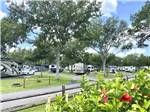 An overview of some of the RV sites at STAGECOACH RV PARK - thumbnail