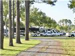 A tree lined gravel road at STAGECOACH RV PARK - thumbnail