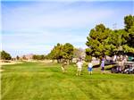 Men golfing near bushy trees at VIEWPOINT RV & GOLF RESORT - thumbnail