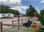 RVs parked in sites with wooden fence in foreground and bear logo at ROYAL VIEW RV PARK - thumbnail