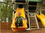 Boy sliding down slide at playground at LEDGEVIEW RV PARK - thumbnail