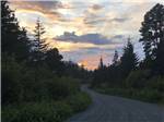 Gravel road winds through a forest at HAINES HITCH-UP RV PARK - thumbnail