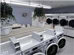 Hanging plants dangle above washers and dryers at HAINES HITCH-UP RV PARK - thumbnail