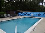 Swimming pool with picture of whales on the wall at TALLAHASSEE RV PARK - thumbnail
