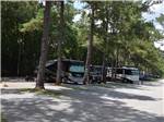 Back in paved RV sites at TALLAHASSEE RV PARK - thumbnail